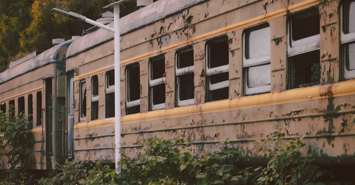 Case Studies: Successful Steel Stump Restumping Projects