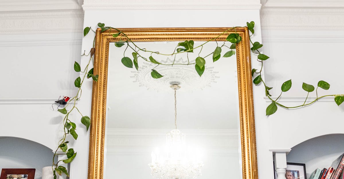 Ensuring Transparency in Communication When Hiring Restumpers