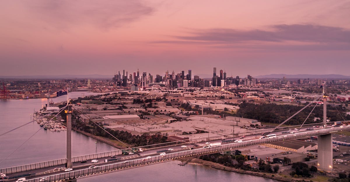 Strategies for Finding Honest Reviews of Restumping Services