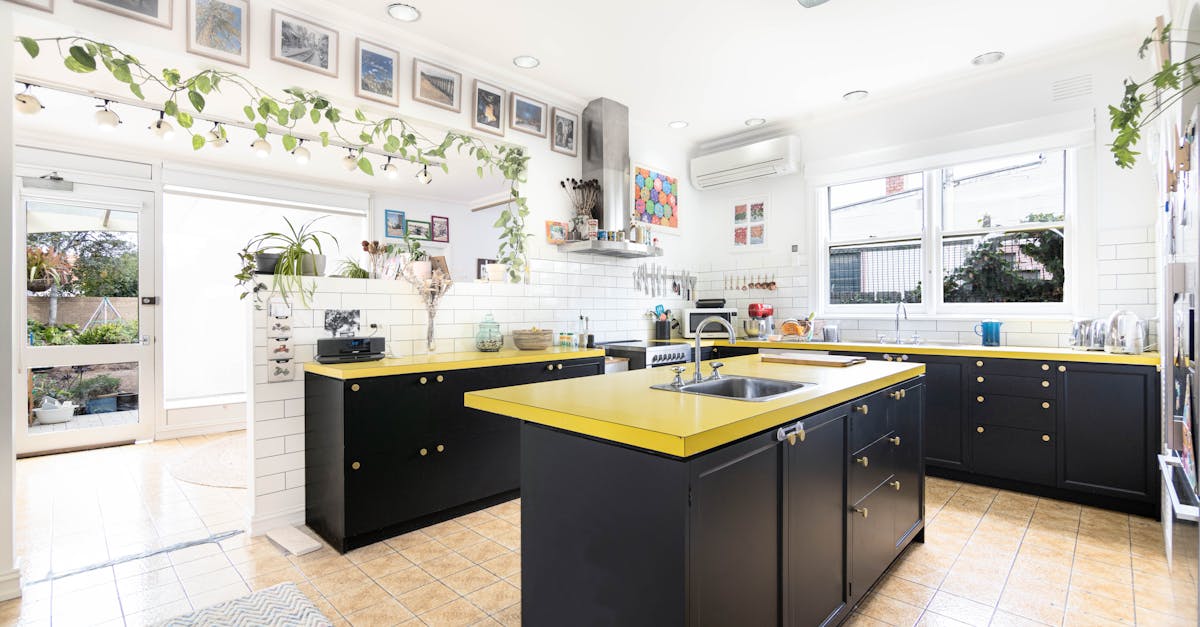 Why Continuous Professional Development Matters in Restumping